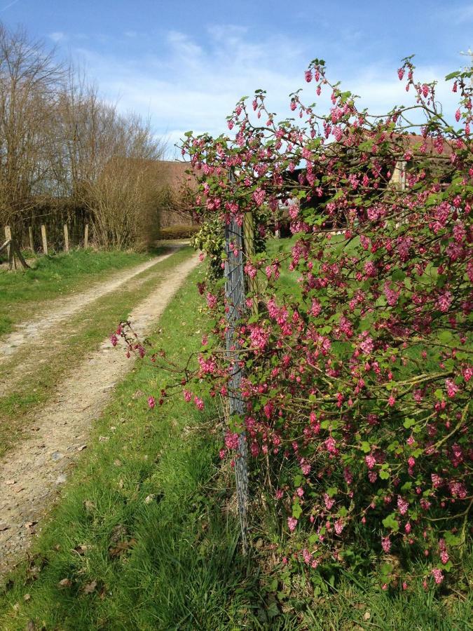 B&B Bekersveld Vlezenbeek Bagian luar foto